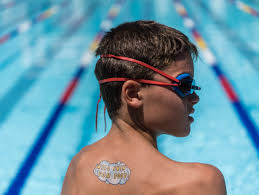 Hundreds compete in Evansville City Swim Meet