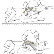 Image result for Pelvic Compression Test