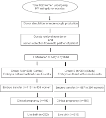 Impact Of Embryo Co Culture With Cumulus Cells On Pregnancy