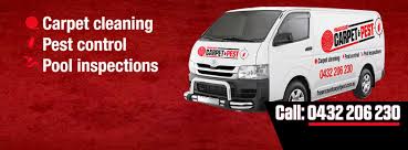 Hervey bay and maryborough pest control queensland •. Fraser Coast Carpet Pest Home Facebook