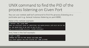 In linux, everything is a file. How To Find A Process Listening On A Specific Port In Linux Netstat And Lsof Command Examples Ité–±è®€