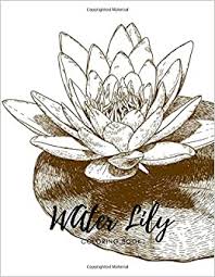 Set off fireworks to wish amer. Amazon Com Water Lily Coloring Book Gifts For Kids 4 8 Boys Girls Or Adult Relaxation Stress Relief Elephant Lover Coloring Book Made In Usa 9798633286311 Coloring Book Water Lily Books