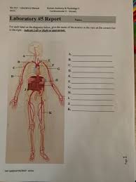 We did not find results for: Bio 151 Laboratory Manual Dccc Human Anatomy Chegg Com