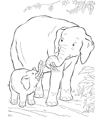 Cute baby orangutan coloring page from orangutans category. Mom And Baby Animal Coloring Pages Coloring And Drawing