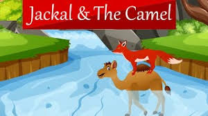 Camels traveling together under human control, usually in single file, form a caravan or train. Jackal And The Camel Story In English Clever Camel And Fox Story Moral Stories For Kids Youtube
