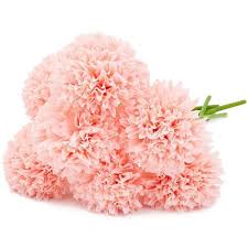 Maybe you would like to learn more about one of these? Juvale 8 Pack Light Pink Silk Cloth Artificial Hydrangea Flowers For Weddings Crafts Target