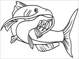 There are tons of great resources for free printable color pages online. Catfish Coloring Pages For Kids Coloringbay