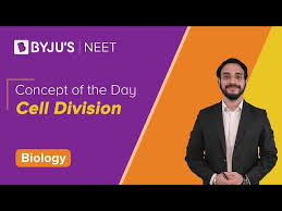 Check spelling or type a new query. Cell Cycle Definition And Phases Of Cell Cycle