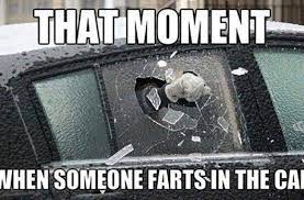 100 Hilarious Road Trip Memes Cartoons Truth About Family Travel