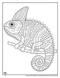 Lions, elephant, butterflies, and other kinds of animals are available. Animal Coloring Pages For Adults Teens Woo Jr Kids Activities