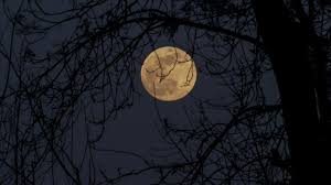 Carta astral del 27 de abril de 2021 a las 03:31:30 ut. Superluna Rosa Entre Los Eventos Astronomicos De Abril 2021