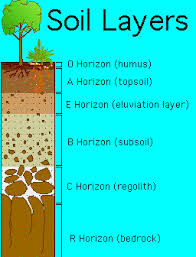 Akuifer adalah lapisan batuan jenuh air tanah yang dapat. Lapisan Tanah Soil Horizon Dan Karakteristiknya Guru Geografi