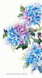 Hydrangea Scan By 69xuxu69 On Deviantart Watercolor Flowers Art Flower Art