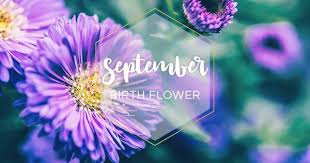 Flower For September Month September Birth Flower Birth Flowers November Birth Flower