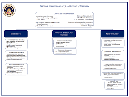 Organizational Structure Pretrial Services Agency