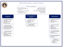 organizational structure pretrial services agency