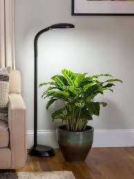 Maybe you would like to learn more about one of these? Floor Plant Lamp Full Spectrum Led Grow Light Free Shipping Grow Lights For Plants Led Grow Lights Floor Plants