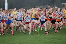 Isabel in top 5 & Dexta in top 15 at English Schools