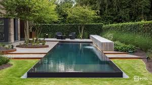Biopool Projecten Infinity Overloop Zwembad Swimming Pools Backyard Small Backyard Pools Backyard Pool