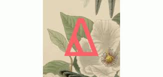Boston & new york florist | same day flower delivery. Https Www Kununu Com Us Md Repair And Service 2018 07 16 Https Www Kununu Com Us Cpbourg 2018 07 16 Https Www Kununu Com Us They Dont Hire Older Folks 2018 07 16 Https Www Kununu Com Us Is A Great Place To Work Owners Are Very Kind