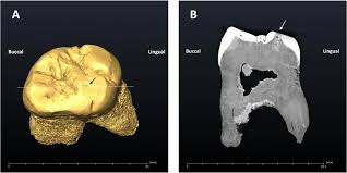 Kerolay chaves porno fotos en la página 1 mira vídeos porno