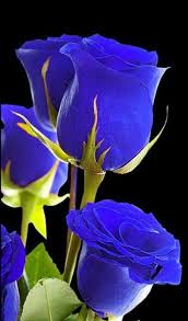 Pin On Valentine S Day