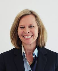 British Business Investments Annual Report 2017