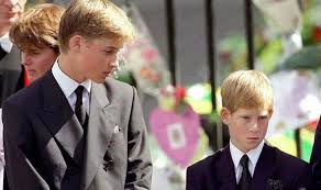 A 7000 kilomètres, plus précisément. Le Defi Unique Du Prince Harry Que William N A Jamais Du Affronter Revele Royal Nouvelles Fr24 News France