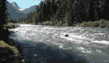 View, download, rate, and comment on 7 river gifs. River Gifs Tenor