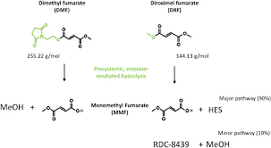 Image result for Dimethyl Fumarate