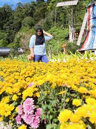 Next entry, saya kongsikan pengalaman road trip ke hat yai dan krabi. Anything But Ordinary Betong Thailand