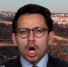 CNN interview erupts into chaos as host and DOGE expert get into shouting  match