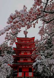 Последние твиты от japan (@japan). Pin On Model