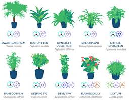 The 7 best plants to have in your bedroom to help you sleep better. Your Guide To Creating The Best Bedroom For Sleep