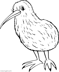 Simple bird colouring in edge cool falcon coloring pages animal of. Kiwi Bird Coloring Pages Coloringall