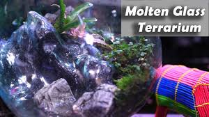 Online shopping from a great selection at movies & tv store. Molten Glass Terrarium With Pond Terrariumtuesday Youtube