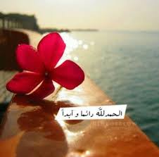 الحمد لله دائما وابدا Flowers Farah Words