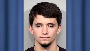 Avondale man admits to sex assault