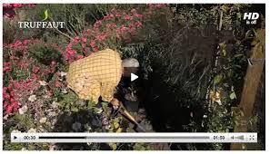 Epingle Sur Calendrier Jardinier