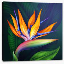 Bird Of Paradise Stretched Canvas 1220 By Wall Art Prints Paradise Painting Birds Of Paradise Flower Plant Painting