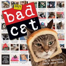 Ghosts may or may not exist, but it is true that cats have a greater level of perception than humans do. Bad Cat Wall Calendar 2021 Workman Calendars 9781523508341 Amazon Com Books