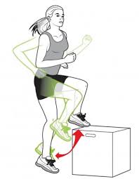 Kuvahaun tulos haulle plyometric training cartoon