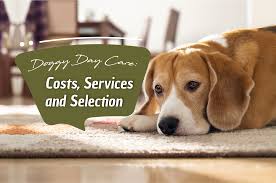 We did not find results for: Doggy Day Care Costs Services And Selection Thedogtrainingsecret Com Thedogtrainingsecret Com