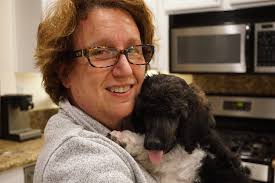 Baxter, our 3-year old Moyen Poodle