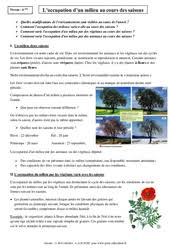 Les réseaux de transport et de communication. Svt 6eme Cycle 3 Soutien Scolaire Exercices Cours Evaluation Revision
