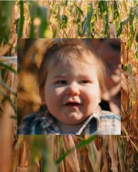 Flannel fest at the pumpkin patch! #50mm #canon #fall #pumpkinpatch  #photography