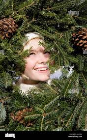 Bob cone hi-res stock photography and images