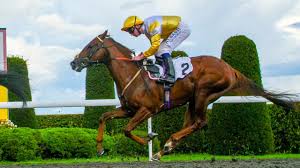 All Weather Hero Corinthia Knight Aims For Group 3 Prize In Texanita Horse Racing News Racing Post