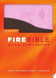 Fire Bible Niv Global Study Pdf Download Fire Bible Niv Bible Bible