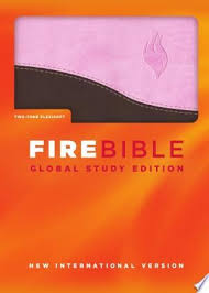 Sample case study niv : Fire Bible Niv Global Study Pdf Download Fire Bible Niv Bible Bible